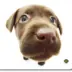 All-06917 Mousepad Chocolate Labrador