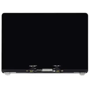Apple A1706 13.3 Inch Panel