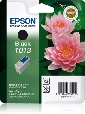 Epson T013 Ink Cartridge 480 Black