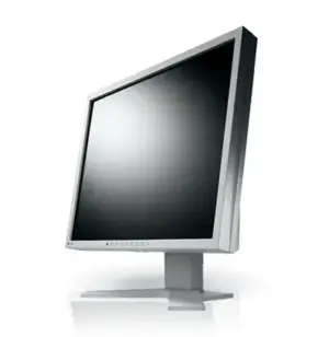 LCD Monitor 17'' EIZO P1700 Gray