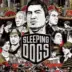 Pc Games Sleeping Dogs