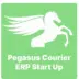 Pegasus Courier ERP Start Up