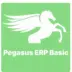Pegasus ERP Basic
