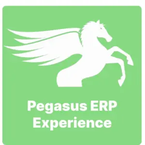 Pegasus ERP Experience