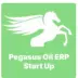 Pegasus Oil ERP Start Up