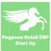 Pegasus Retail ERP Start Up