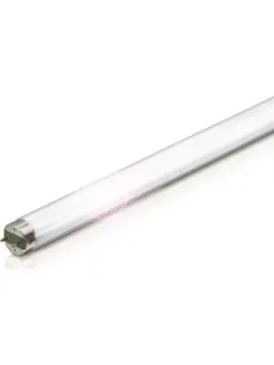Philips Λάμπα Φθορίου T8 36W Snowwhite