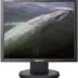 Samsung Syncmaster 723n