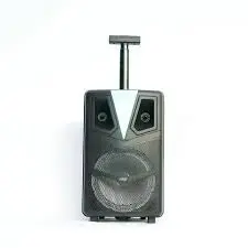 SING-E Ασύρματο Bluetooth Ηχείο 8'' Karaoke
