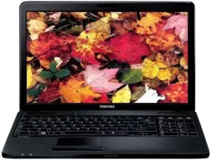 Toshiba Satellite C660D-11E/ AMD V140/2GB/250/15.6'