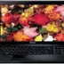 Toshiba Satellite C660D-11E/ AMD V140/2GB/250/15.6'